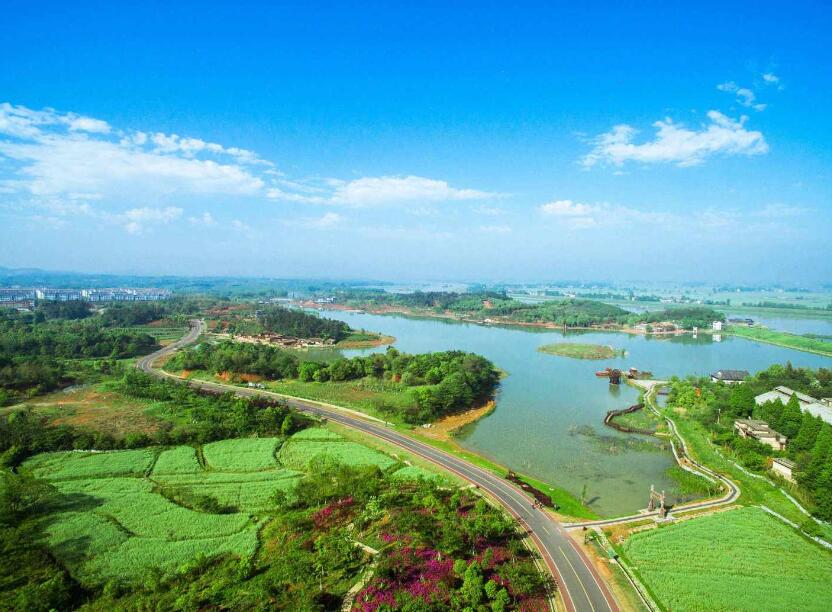 全面推进乡村振兴 加快建设农业强国